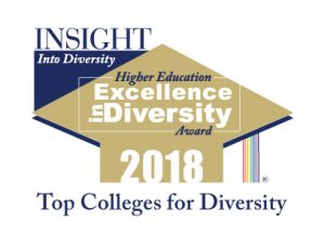 Insight Top Colleges for Diversity